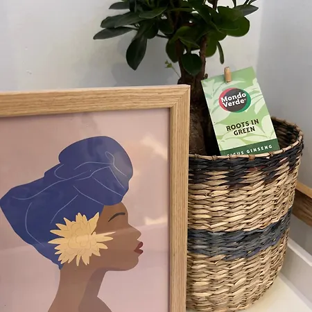 Daire Ikarus Rhodes Center *