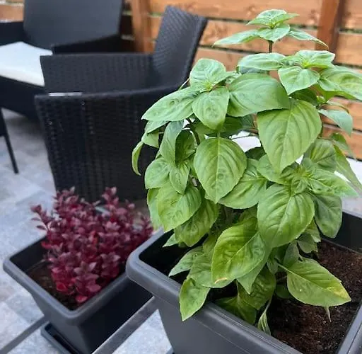 Ikarus Rhodes Center Lägenhet *